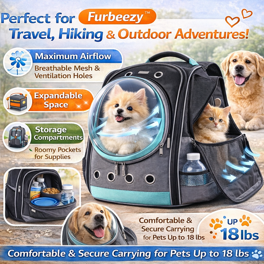 Pet travel backpack