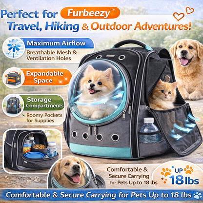 Pet travel backpack