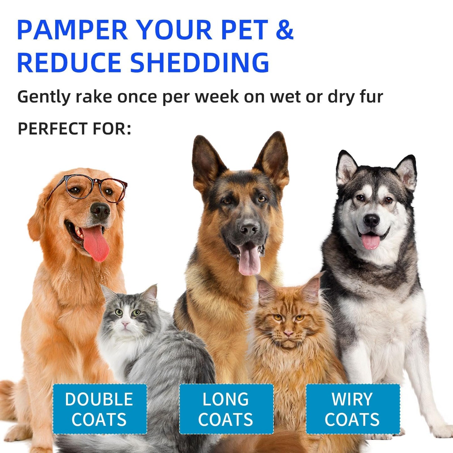 🔥Pet Spray Hair Removal Comb