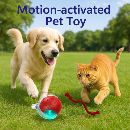 RoboChase Pet Toy Ball